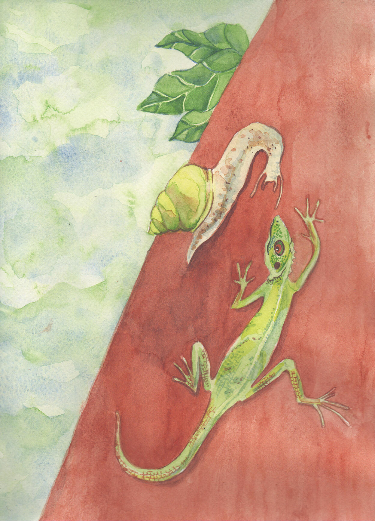 When Lizard Met Snail