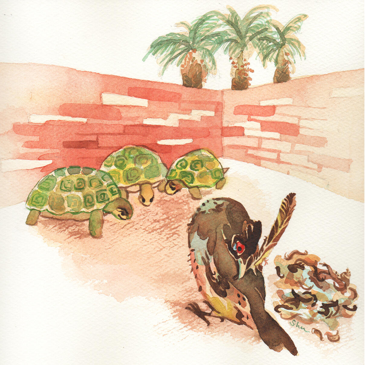 'The Bulbul and the Tortoise' (Arabic folktale from North Africa) Storywriter: Martina Pisciali Illustrator: Chan Shu Yin, for 'The Book of Tales', Story Fest 2021, Singapore